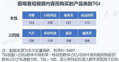 短视频用户