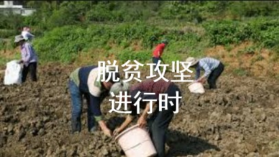 6亿人月收入仅1千