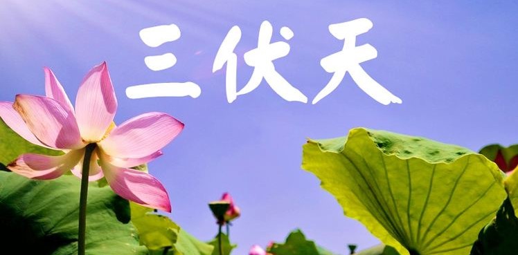 三伏天