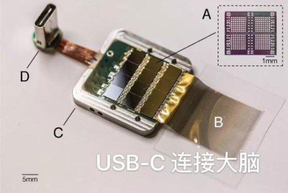 马斯克脑机接口